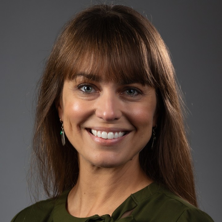Dr. Sarah A Hamer, MS, PhD, DVM